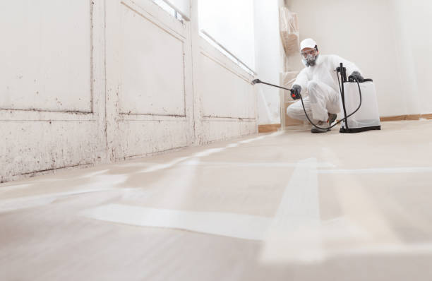 24/7 Emergency Mold Remediation experts in Dupont, CO